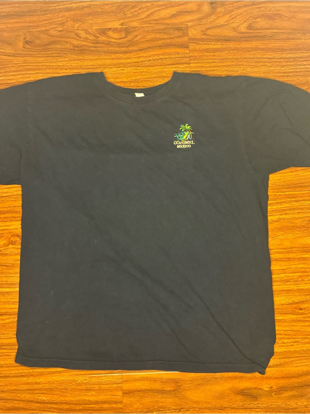 Cozumel Mexico Black Short-Sleeve Men's Tee